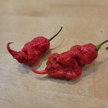 Load image into Gallery viewer, Poison Tail 10+ Isolated seeds