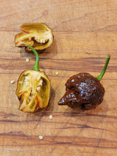 Load image into Gallery viewer, Chocolate Satan Strain Moruga Scorpion 10+ isolated seeds