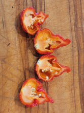 Load image into Gallery viewer, The Beast 10+ Isolated Seeds Capsicum Chinense