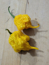Load image into Gallery viewer, California Reaper Yellow 10+ Isolated seeds.