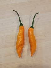 Load image into Gallery viewer, Aji Mango 10+ Isolated Seeds