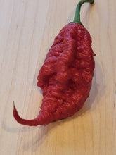 Load image into Gallery viewer, Poison Tail 10+ Isolated seeds