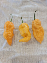 Load image into Gallery viewer, Jays Peach Ghost Scorpion 10+ Isolated seeds