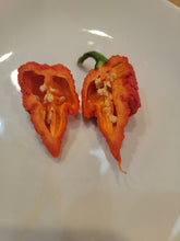 Load image into Gallery viewer, RB003 10+ isolated seeds