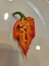 Load image into Gallery viewer, RB003 10+ isolated seeds