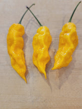 Load image into Gallery viewer, Atomics Yellow Painsicle 10+ isolated seeds