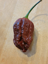 Load image into Gallery viewer, Chocolate Deadpool 10+ isolated seeds.