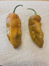 Load image into Gallery viewer, Jamaican Hot Carmels 10 + isolated seeds