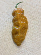 Load image into Gallery viewer, Jamaican Hot Carmels 10 + isolated seeds