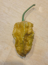 Load image into Gallery viewer, Bhut Orange Copenhagen Mustard, Tangy Ghost Variant pepper pods, isolated seeds by Atomic Pepper Seeds