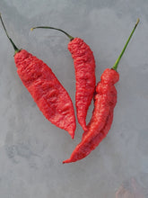 Load image into Gallery viewer, Atomics Red Painsicle 10+ isolated seeds.