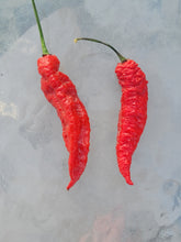 Load image into Gallery viewer, Atomics Red Painsicle 10+ isolated seeds.