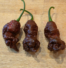 Load image into Gallery viewer, Chocolate Killer Beez pepper pods close-up, dark chocolate blistered super hot from Atomic Pepper Seeds
