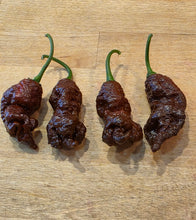 Load image into Gallery viewer, Chocolate Killer Beez pepper harvest, extreme heat isolation-grown chocolate pods from Atomic Pepper Seeds