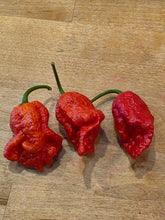 Load image into Gallery viewer, Red Dead Pool pepper harvest, extreme heat isolation-grown pods from Atomic Pepper Seeds
