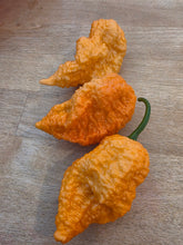 Load image into Gallery viewer, Fried Chicken pepper pods with crispy blistered texture, extreme super hot grown by Atomic Pepper Seeds