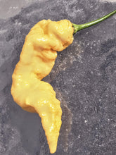 Load image into Gallery viewer, Atomics Peach Painsicle 10+ isolated seeds.