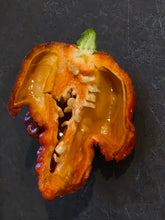 Load image into Gallery viewer, Chocolate Hellboy pepper cut in half showing thick walls and seed cluster