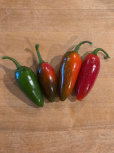 Load image into Gallery viewer, Jalapeño peppers at multiple ripening stages - green, orange, and red
