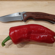 Load image into Gallery viewer, Urfa Biber 10+ isolated seeds capsicum annuum