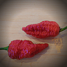 Load image into Gallery viewer, Naga brain 10+Isolated seeds Capsicum chinense