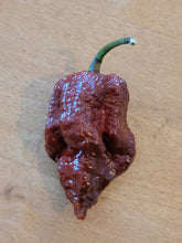 Load image into Gallery viewer, Chocolate Ghost Pepper 10+ Isolated Seeds