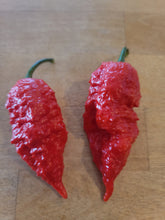 Load image into Gallery viewer, Leopard Reaper, Spotted Extreme Heat pepper harvest, isolated pepper seeds for sale