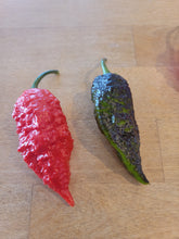Load image into Gallery viewer, Leopard Reaper, Spotted Extreme Heat pepper close-up, hot pepper seeds grown in Nebraska