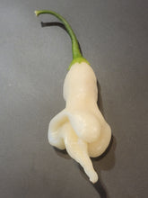 Load image into Gallery viewer, Aji Confusion 10+ Isolated Seeds Capsicum Baccatum