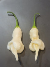 Load image into Gallery viewer, Aji Confusion 10+ Isolated Seeds Capsicum Baccatum