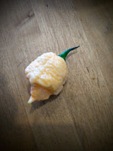 Load image into Gallery viewer, Bane strain peach 10+ Isolated seeds Capsicum chinense
