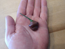 Load image into Gallery viewer, Cheiro Roxa 10+ Isolated seeds Capsicum chinense