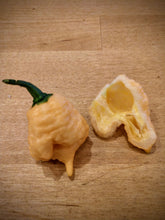 Load image into Gallery viewer, Bane strain peach 10+ Isolated seeds Capsicum chinense