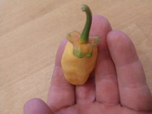 Load image into Gallery viewer, 7 Pot peach bubble gum 10+ Isolated seeds Capsicum chinense