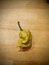 Load image into Gallery viewer, Golden reaper 10+ Isolated seeds Capsicum chinense