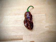 Load image into Gallery viewer, 7 Pot Chocolate 10+ Isolated seeds Capsicum chinense