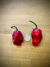 Load image into Gallery viewer, 7 Pot Red, Classic Trinidad Super Hot pepper pods, isolated seeds by Atomic Pepper Seeds