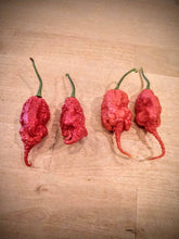 Load image into Gallery viewer, Primotalii 10+ Isolated seeds Capsicum chinense