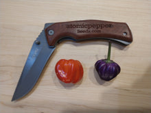 Load image into Gallery viewer, Purple Pumpkin 10+ Isolated seeds