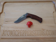 Load image into Gallery viewer, Butch T Scorpion, Former World Record Holder pepper pods, isolated seeds by Atomic Pepper Seeds