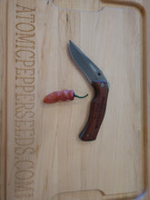 Load image into Gallery viewer, Fidalgo roxa 10 + Isolated seeds Capsicum chinense