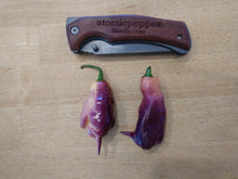 Load image into Gallery viewer, Purple Tajmahal 10+ Isolated seeds Capsicum chinense