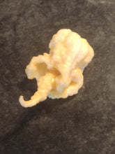 Load image into Gallery viewer, Carolina Reaper x Peach Ghost 10+ Isolated Seeds Capsicum Chinense