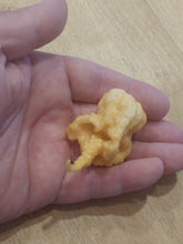 Load image into Gallery viewer, Carolina Reaper x Peach Ghost 10+ Isolated Seeds Capsicum Chinense