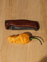 Load image into Gallery viewer, Andys King Bhut Orange Copenhagen 10+ Isolated Seeds Capsicum Chinense