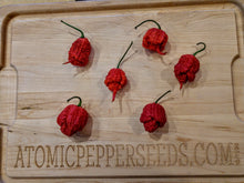 Load image into Gallery viewer, Brain Stinger 10+ Isolated Seeds Capsicum Chinense