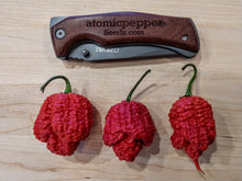 Load image into Gallery viewer, Brain Stinger 10+ Isolated Seeds Capsicum Chinense