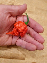 Load image into Gallery viewer, The Beast 10+ Isolated Seeds Capsicum Chinense