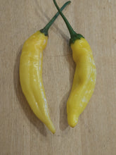 Load image into Gallery viewer, Aji lemon drop 10+ Isolated Seeds