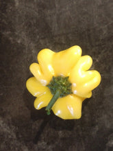 Load image into Gallery viewer, Brazilian Yellow Starfish, Unique Shape, Medium Heat pepper harvest, isolated pepper seeds for sale